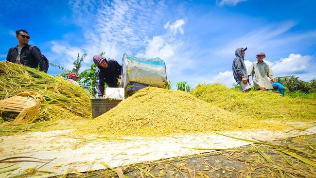 Optimalisasi Ziswaf dalam Mewujudkan Ketahanan Pangan di Indonesia